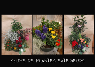 AUX JOLIES FLEURS - Communauté de Communes du Val d'Essonne : Coupe de plantes extérieurs